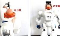 Chinese robot has a brain made from human cells