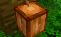 How to Grow Cocoa Beans in Minecraft