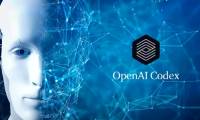 OpenAI Codex User Guide with 3 Real-World Examples