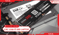 Common types of laptop SSDs: How to choose the right one
