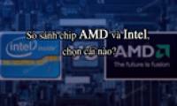 Comparing AMD and Intel chips, which one should you choose?