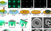 Microrobots controlled by metal patches can deliver drugs and clean up pollution