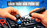 Detailed instructions on how to safely and cleanly disassemble a mechanical keyboard.
