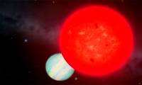 Giant planet discovered orbiting a tiny star