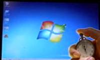 Fixing slow laptop startup and long screen time issues.
