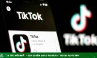 Having struggled in many countries, why is TikTok still popular in Vietnam?