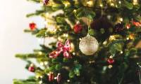 How did the evergreen tree become a symbol of Christmas?