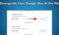 How to downgrade Google One AI Pro plan