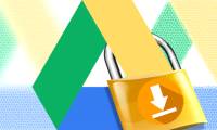How to download files on Google Drive that are blocked from downloading
