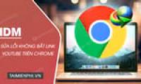 How to effectively fix the IDM error of not capturing YouTube links on Chrome