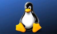 How to execute Shell script in Linux