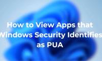 How to find PUA apps on Windows