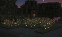 How to Get Firefly Bushes in Minecraft