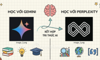 How to integrate Gemini with Perplexity AI