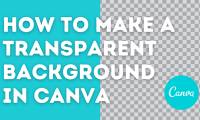 How to Make a Transparent Background in Canva for Free