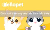 How to raise pets on your phone screen with Hellopet