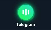 How to set voice chat to Telegram notification tone