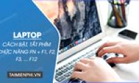 How to turn on and off function keys FN + F1, F2, F3, ... F12 on Laptop