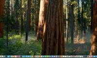 How to unlock Sequoia Sunrise macOS 15 wallpaper