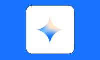 How to use Gemini API