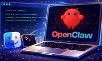 Install and run OpenClaw for the first time on any platform.