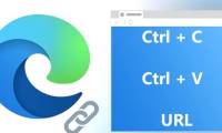 Instructions to change the copy paste URL format in Microsoft Edge