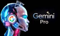 Instructions on creating worksheets on Gemini