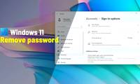 Instructions to delete login password on Windows 11