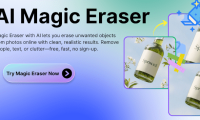 Instructions on how to remove logos from AI videos using Magic Eraser