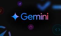 Gemini chat sharing guide