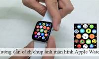 Instructions on how to take a screenshot on Apple Watch