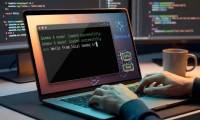 Instructions on using Gemma 4 in VS Code