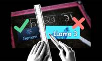 Is Gemma 2 or Llama 3 the best open source model?