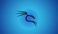 Kali Linux 2022.3: Comes with white hat hacker tool upgrades