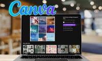 Make your Canva designs stand out with these simple tips!