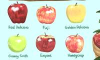 Meaning of names of different apples in the world