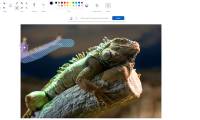 Microsoft Paint gets Generative AI tools