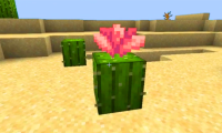 Minecraft: How to Get and Use Cactus Flowers