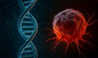 New DNA discovery could revolutionize cancer treatment