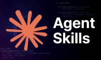 Overview of Agent Skills