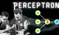 Perceptron in Machine Learning