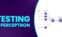 Perceptron test