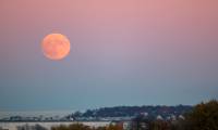 Stunning photos of the supermoon from all over the world.