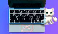 Shortcat - An app that makes it easy to use your Mac without a mouse