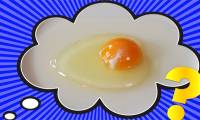 What is the small white streak inside the egg?