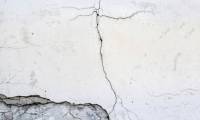 Successfully created 'living' concrete that can heal cracks by itself