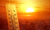 The Earth just recorded the hottest June 2024 in history