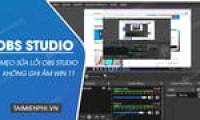 The simplest and most effective way to fix the OBS Studio recording error on Windows 11.