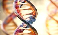 Surprising things scientists create from DNA