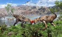 Traces of the oldest dome-headed dinosaur species discovered, up to 108 million years old